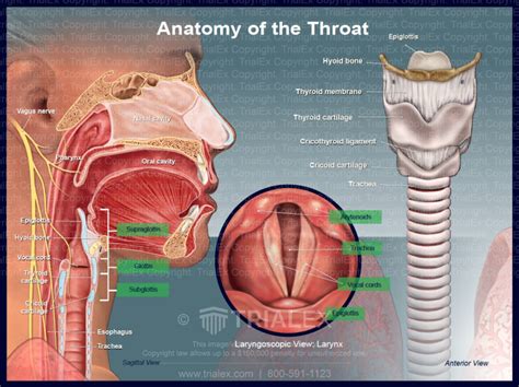 Deep Throat Sex dating Tuusula